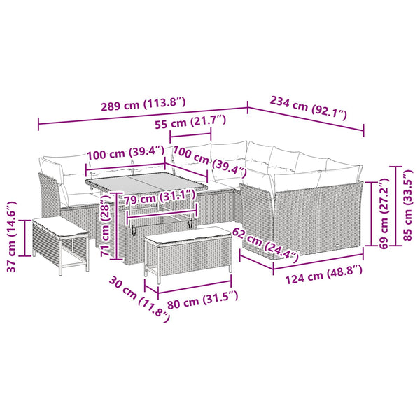 vidaXL Ensemble de canapés de jardin avec coussins et rangement 12 pcs Noir