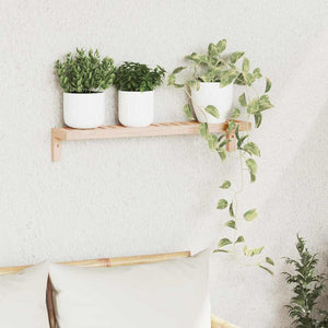 Wandregal Natur Walnuss Massivholz 62cm