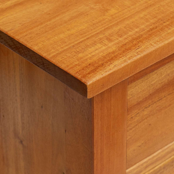 vidaXL Meuble TV Bois d'acajou massif Naturel 100 x 40,5 x 46 cm