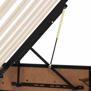 Bett mit Stauraum und LED Schwarz 100x200 cm