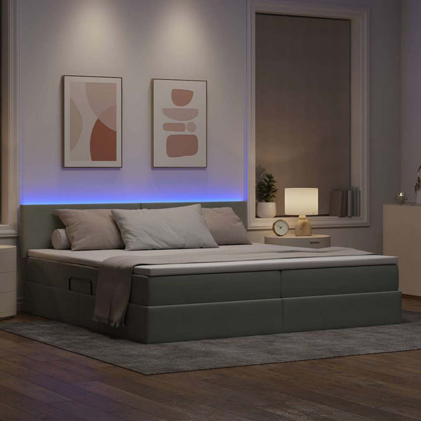 vidaXL Lit avec rangement et LED gris clair 200 x 200 cm velours