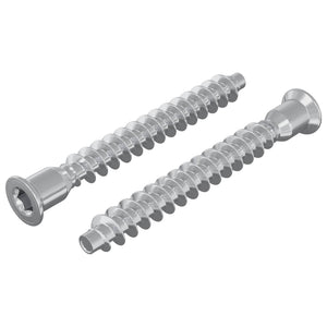 vidaXL Vis de fixation à tête fraisée 2 pcs Argenté Ø7 x 58 mm Métal