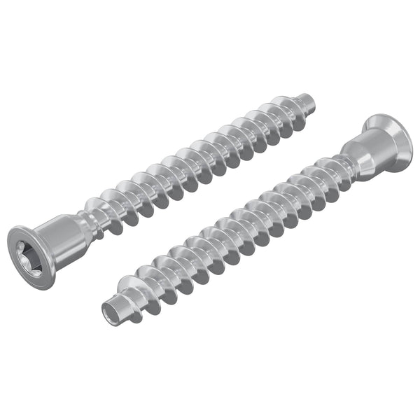 vidaXL Vis de fixation à tête fraisée 2 pcs Argenté Ø7 x 58 mm Métal