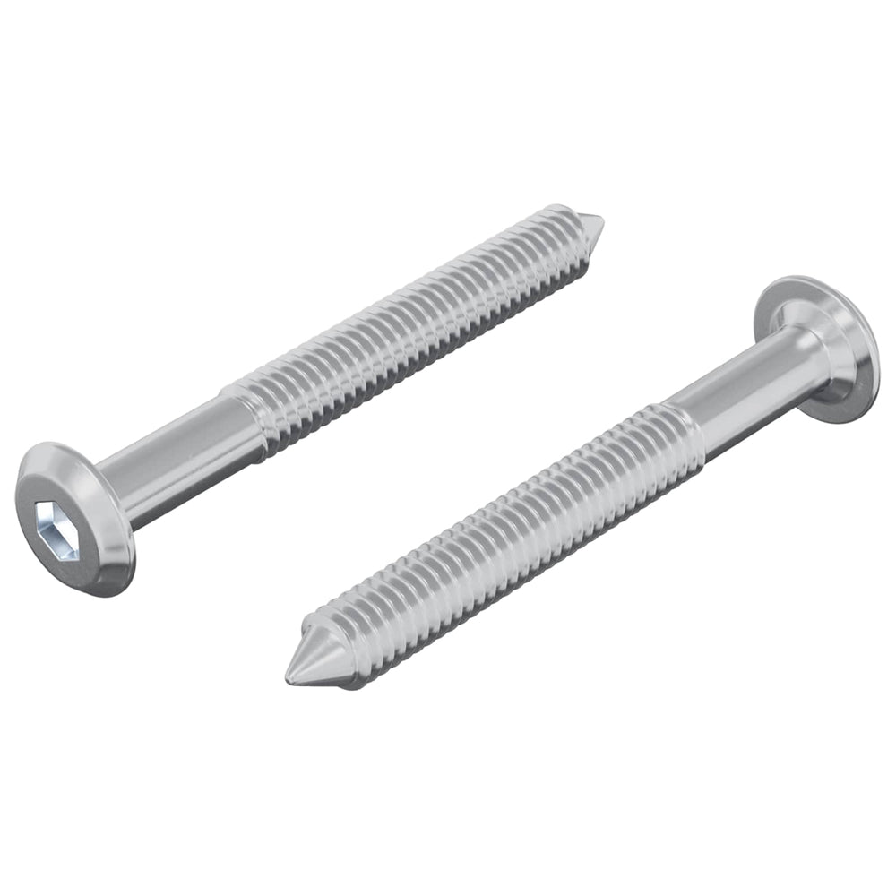 M6 x 50 mm Stahlschrauben - 2 Stück