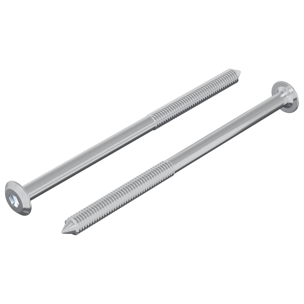 M6 x 100mm Stahlschrauben - 2 Stück
