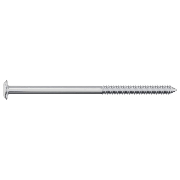 M6 x 100mm Stahlschrauben - 2 Stück