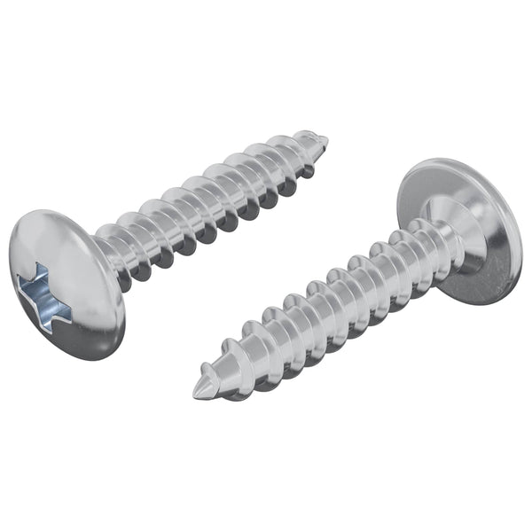 Selbstschneidende Nägel, 4 x 20 mm, verzinkt, 2 Stk.