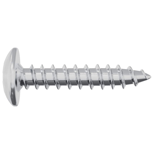 Selbstschneidende Nägel, 4 x 20 mm, verzinkt, 2 Stk.