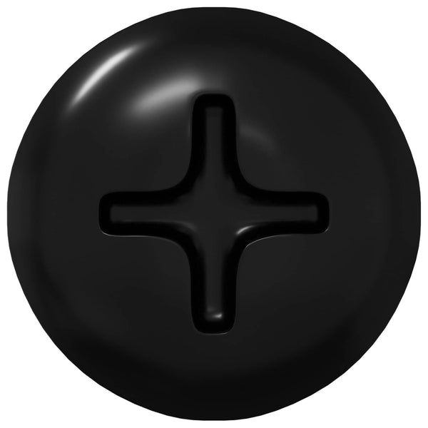 Selbstschneidende Nägel, 4 x 25 mm, Schwarz, 2 Stk.