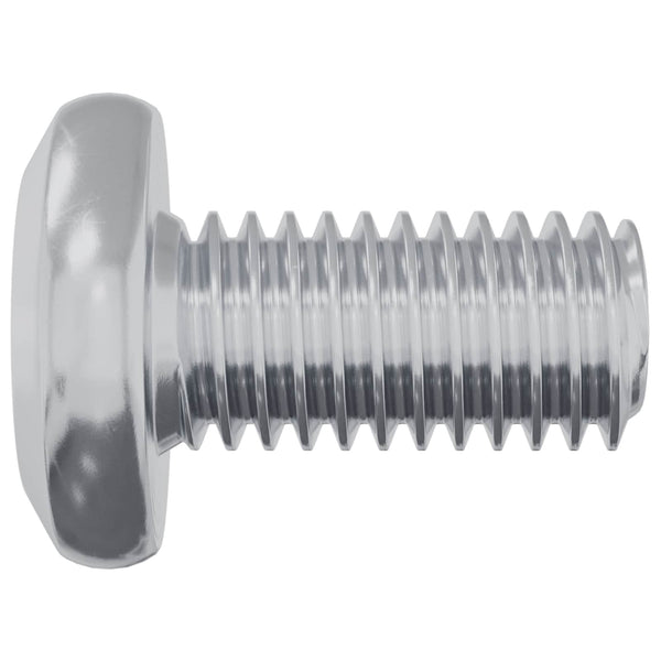 Schraube mit Sperre Silber M6 x 12 mm, 12 Stk.