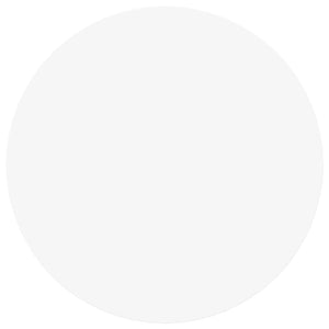 vidaXL Autocollants 12 pcs Blanc Ø 20 x 0,5 mm Papier