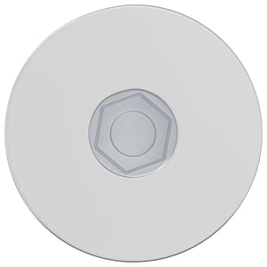 vidaXL Vis 12 pcs Zingué 5 x 40 mm Fer