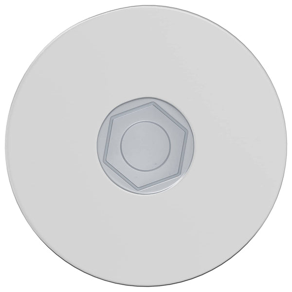 vidaXL Vis 12 pcs Zingué 5 x 40 mm Fer