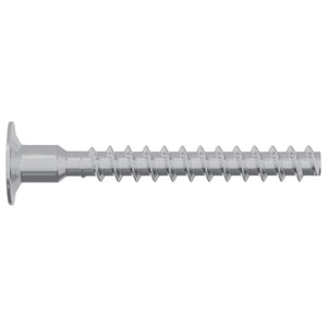 vidaXL Vis 12 pcs Zingué 5 x 40 mm Fer