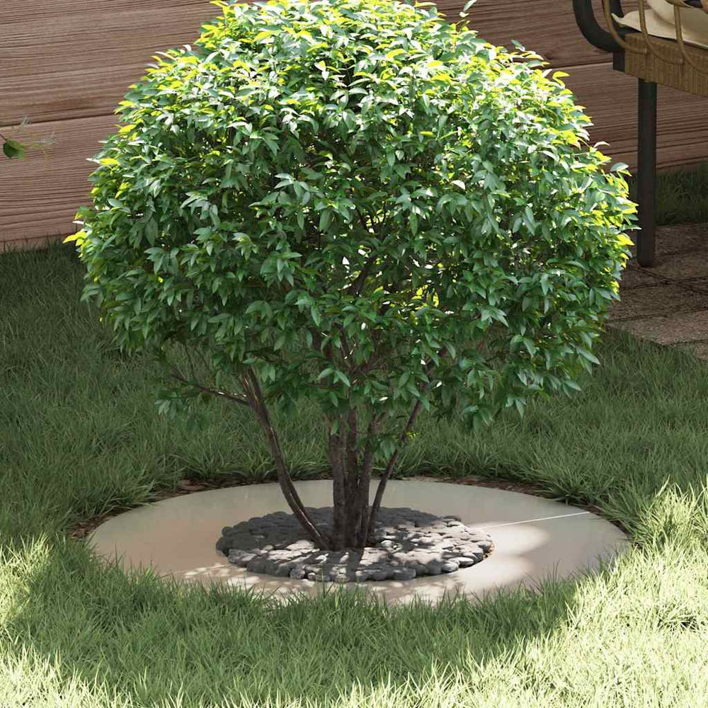 Baumringe Flach Edelstahl Silber Ø30-60cm 5er Set