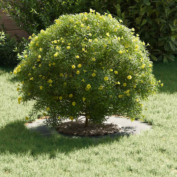 vidaXL convient aux anneaux d'arbres plats Argent Ø30 / 60 cm Acier galvanisé