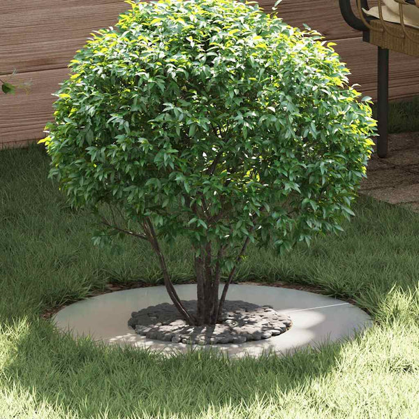 Baumringe für flache Bäume, 5 Stk, Silber, Ø30/60 cm