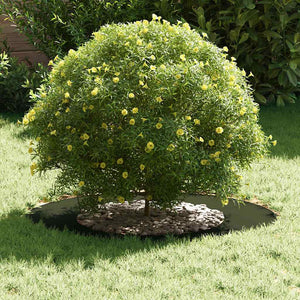 Baumringe, flach, 5 Stk, Stahl, Olivgrün, Ø40/70cm