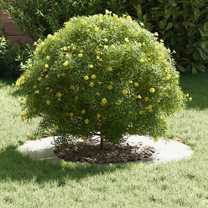 Baumringe Silber 40/70 cm, 5er-Set