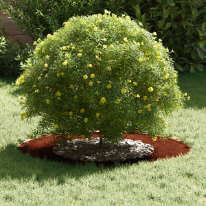 Baumringe für flache Bereiche, 5 Stk., Braun, Ø40/70 cm