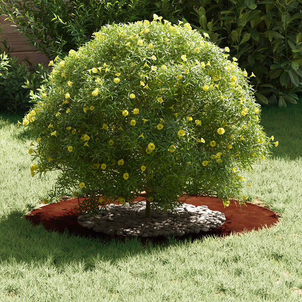 Baumringe für flache Bereiche, 5 Stk., Braun, Ø40/70 cm