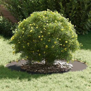Baumring Schwarz Stahl Ø50/80 cm