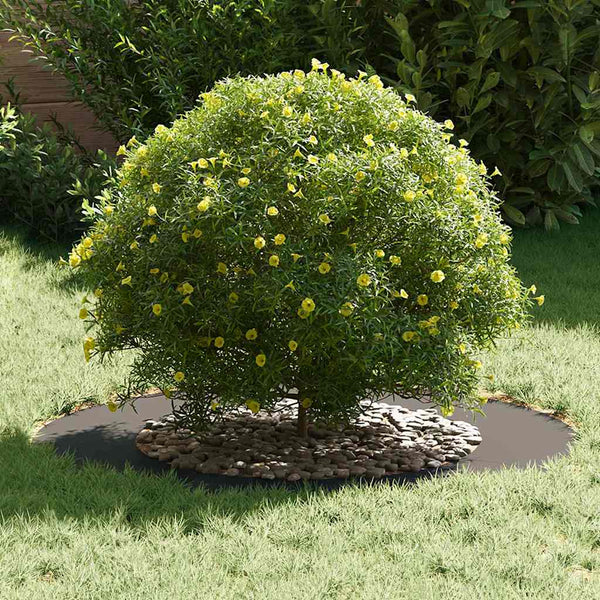 Baumring Schwarz Stahl Ø50/80 cm