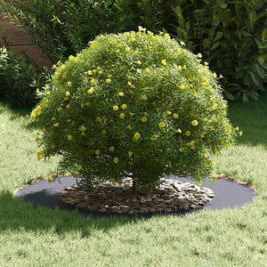 Baumringe Anthrazit Stahl Ø50/80cm 5er Set