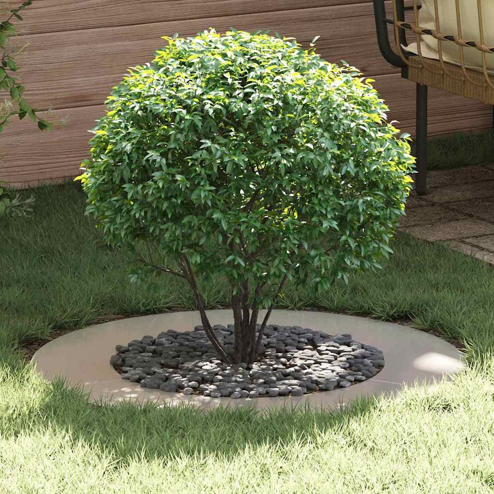 Baumringe, 5er Set, Silber, Ø50/80 cm, Edelstahl