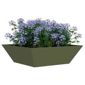 Oliven Grüner Garten Pflanzkasten 50x50x15cm