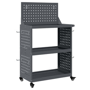 Werkzeugwagen Anthrazit Stahl 65x35x111cm