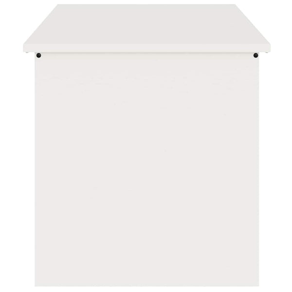 Weiße Außenlagerbox Stahl 100cm