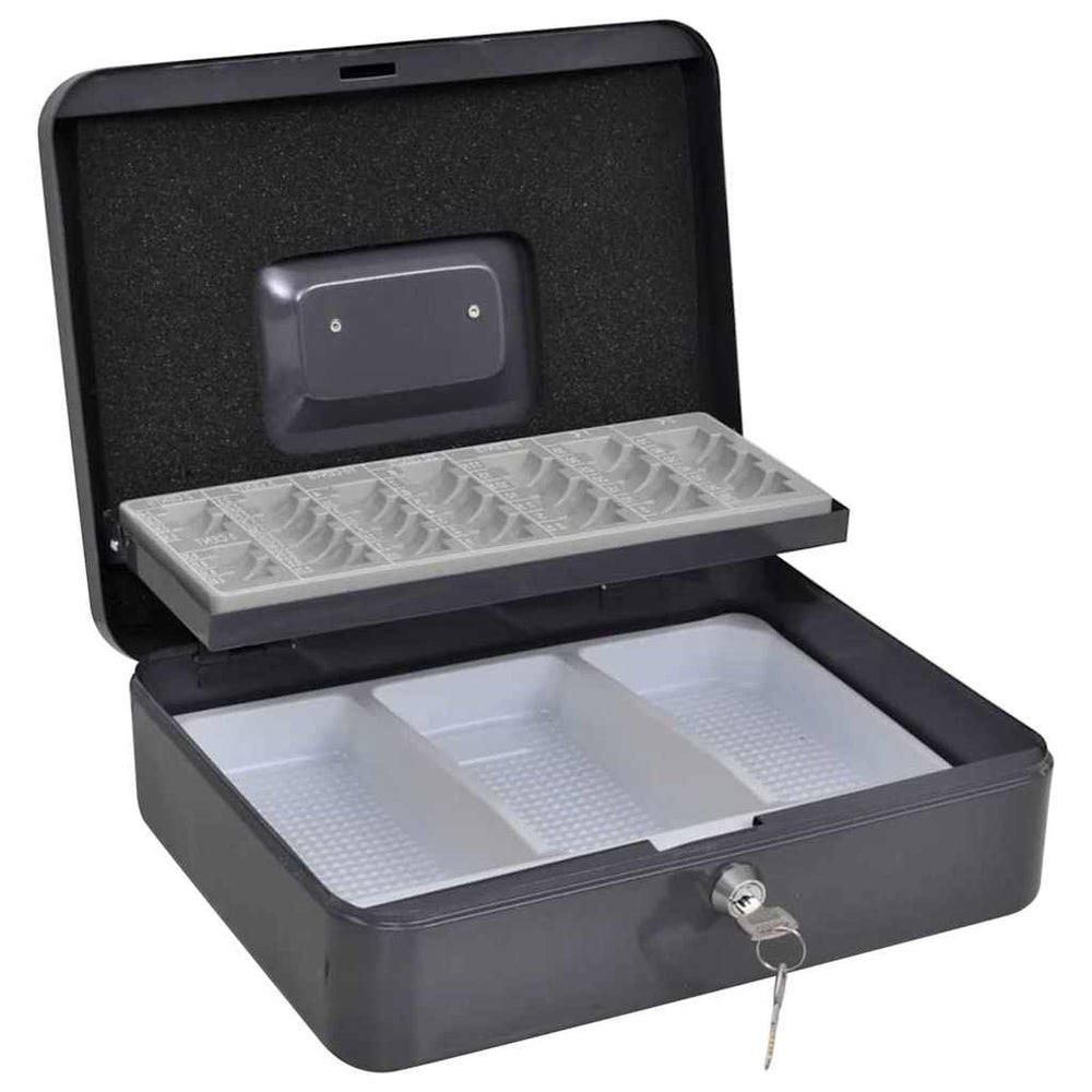 vidaXL Cash Box with Lock Dark Grey 30 x 24 x 9 cm Steel