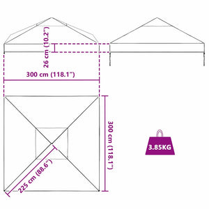 Pavillon Ersatzbezug Transparent PVC 300x300