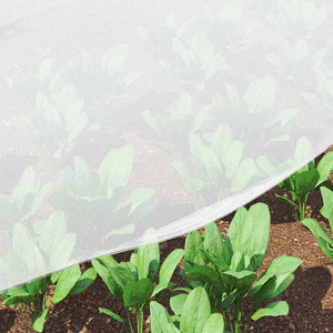 Insektennetz Weiß 2x50m Polyethylen