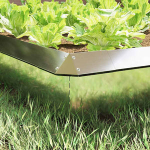 Schneckenzaun Silber Verzinkt 25cm