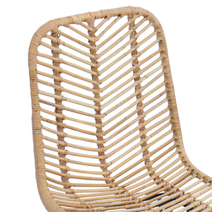 vidaXL Chaises de salle à manger 2 pcs Naturel 44 x 47 x 85 cm Rotin et fer