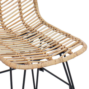 vidaXL Chaises de salle à manger 2 pcs Naturel 44 x 47 x 85 cm Rotin et fer