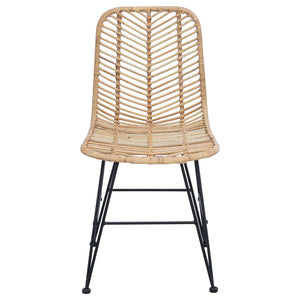 vidaXL Chaises de salle à manger 2 pcs Naturel 44 x 47 x 85 cm Rotin et fer
