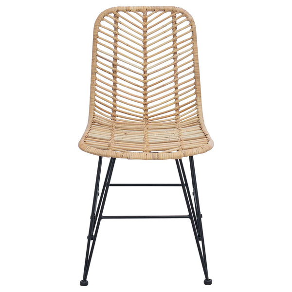 vidaXL Chaises de salle à manger 2 pcs Naturel 44 x 47 x 85 cm Rotin et fer