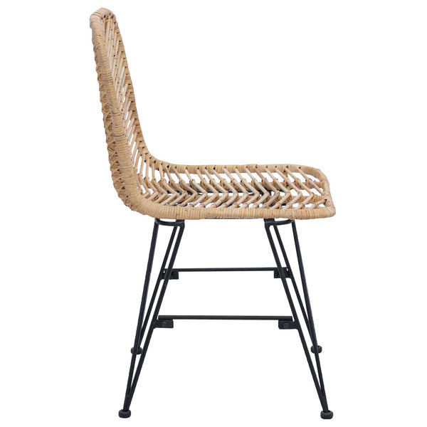 vidaXL Chaises de salle à manger 2 pcs Naturel 44 x 47 x 85 cm Rotin et fer
