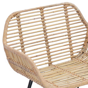 Esszimmerstühle 2er Set Rattan Natur