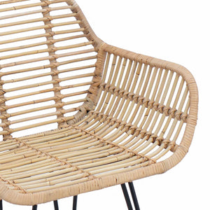 Esszimmerstühle 2er Set Rattan Natur