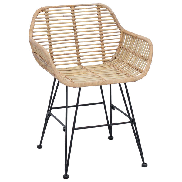 Esszimmerstühle 2er Set Rattan Natur