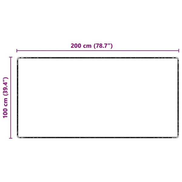 Anthrazit Teppichläufer 100 x 200 cm