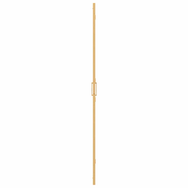 Gold Walk-In Duschwand 70x190 cm