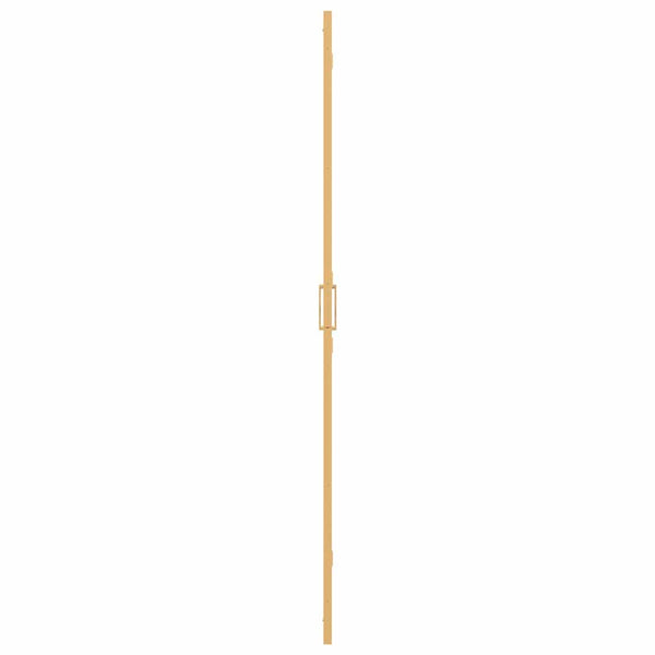 Walk-In Duschwand Gold 80x190cm