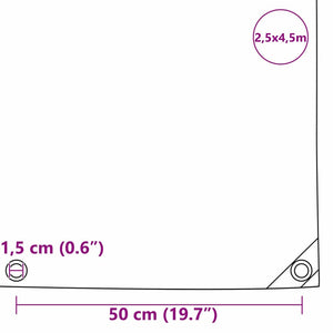 Beige Plane 650g/m² - 2,5 x 4,5 m