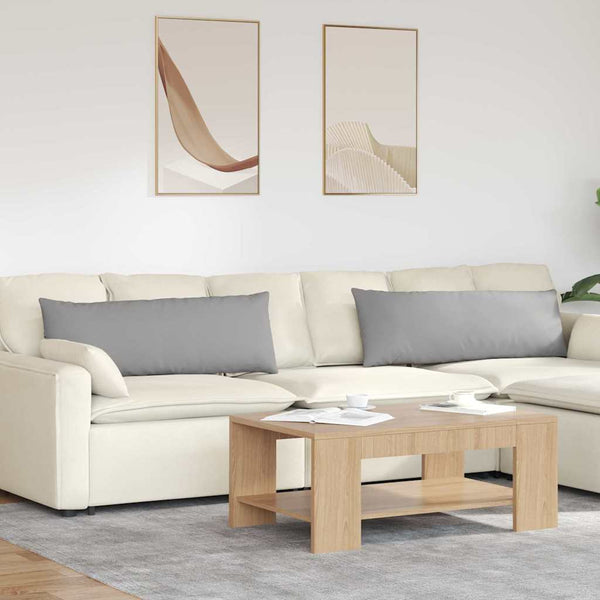 Sofakissen 2er-Set Wolkengrau 120x40 cm