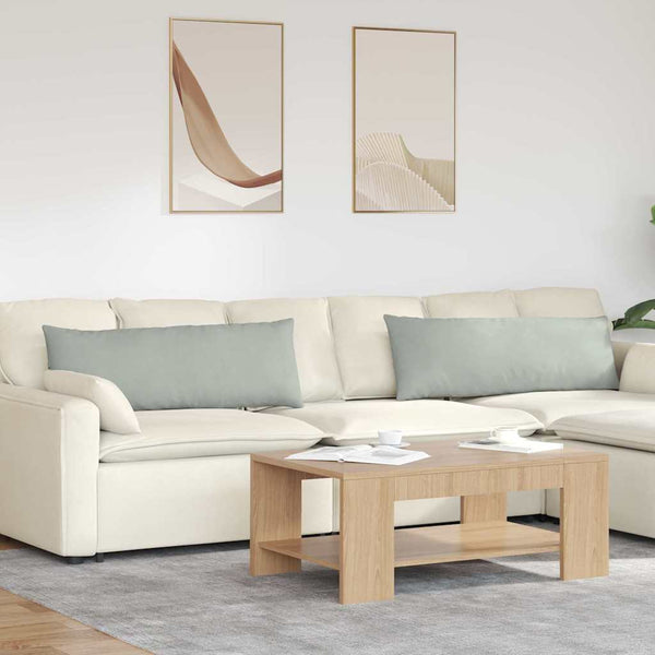 vidaXL Coussins de canapé 2 pcs Gris clair 120 x 40 cm Tissu en velours côtelé